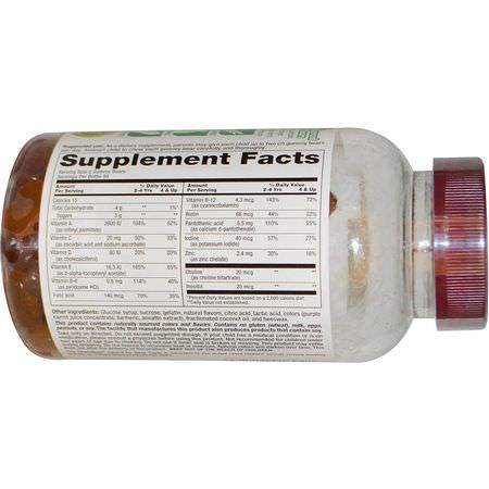 Nutrition Now, Rhino Gummy Multi-Vitamin, 190 Gummy Bears:الفيتامينات المتعددة للأطفال, الصحة