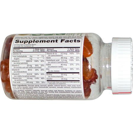 Nutrition Now, Rhino, Gummy Multi-Vitamin, 70 Gummy Bears:الفيتامينات المتعددة للأطفال, الصحة