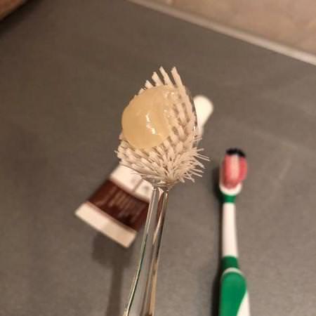 RADIUS, Source Toothbrush, Medium, 1 Replaceable Head Toothbrush