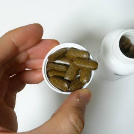 Source Naturals, Gymnema Sylvestre, 450 mg, 120 Tablets:الجمباز, المعالجة المثلية
