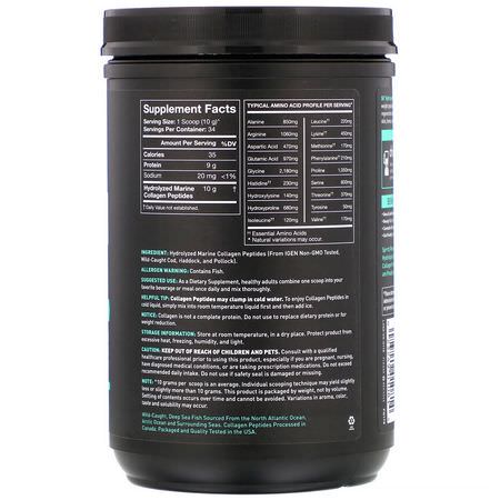 Sports Research, Marine Collagen Peptides, Unflavored, 12 oz (340 g):مكملات الك,لاجين, المفصل