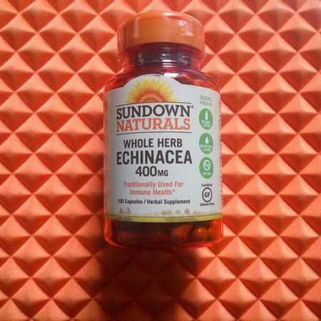 Sundown Naturals Echinacea Cold Cough Flu - الأنفل,نزا ,السعال ,البرد ,المكملات الغذائية