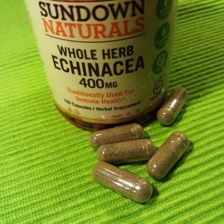 Sundown Naturals, Whole Herb Echinacea, 400 mg, 100 Capsules
