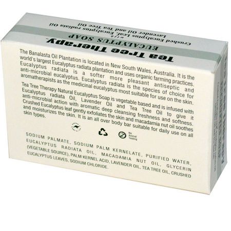 Tea Tree Therapy, Eucalyptus Soap, 3.5 oz (99.2 g) Bar:شريط الصابون, دش