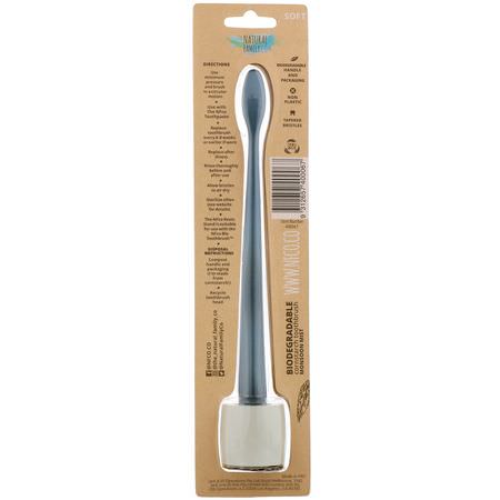 The Natural Family Co, Biodegradable Cornstarch Toothbrush, Monsoon Mist, Soft, 1 Toothbrush & Stand:فرش الأسنان, العناية بالفم