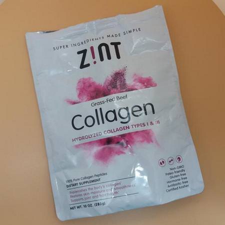 ZINT Collagen Supplements Beef Protein - بر,تين لحم البقر,بر,تين الحي,ان,التغذية الرياضية,مكملات الك,لاجين